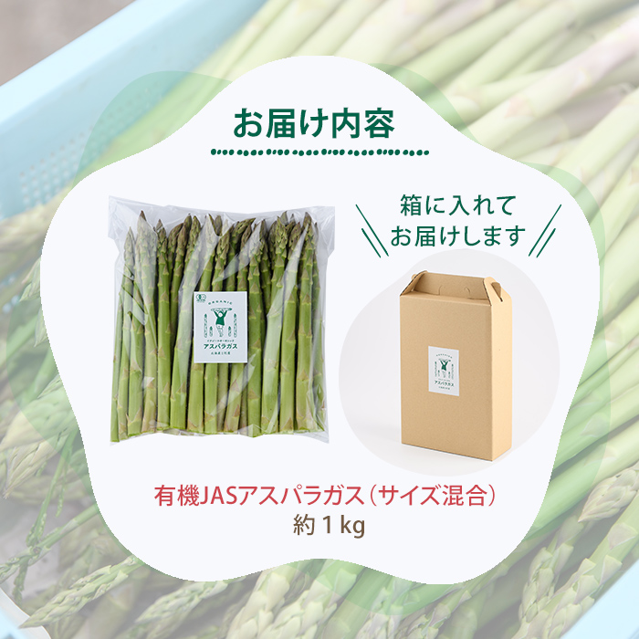 ＜季節限定＞有機JASアスパラガス(約1kg・サイズ混合おまかせ) 【先行予約受付中・2026年4月中旬から順次発送】期間限定 アスパラ グリーンアスパラ 旬 野菜 【イナゾーファーム】【B7099】
