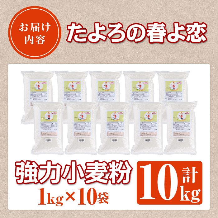 【C7022】＜北海道士別市産小麦＞ たよろの春よ恋 強力粉 ( 1kg×10袋・計10kg) 【2026年1月20日以降発送予定】小麦 小麦粉 強力粉 春よ恋 北海道産 士別市産 国産 国産小麦粉 パン お菓子 料理 1kg 10kg【たよろ春小麦の会】