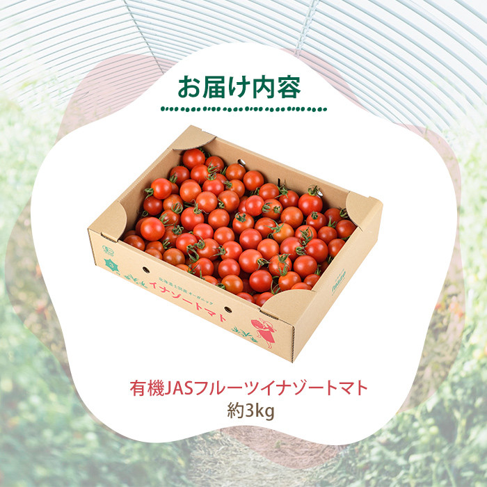＜季節限定＞有機JASフルーツイナゾートマト(約3kg) 【先行予約受付中・2026年7月以降発送】期間限定 トマト ミニトマト フルーツトマト 旬 野菜 リコピン【イナゾーファーム】【C7068】