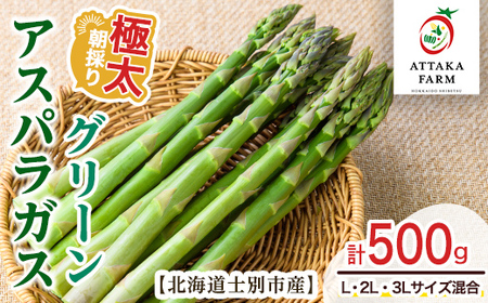 【A7083】＜特別栽培・期間限定＞北海道士別市産 極太グリーンアスパラ (L～3Lサイズ混合・500g) 【2026年5月以降順次発送】野菜 太い 極太 アスパラ アスパラガス グリーンアスパラ 北海道 北海道産 国産 旬 産地直送 【あったかふぁーむ】