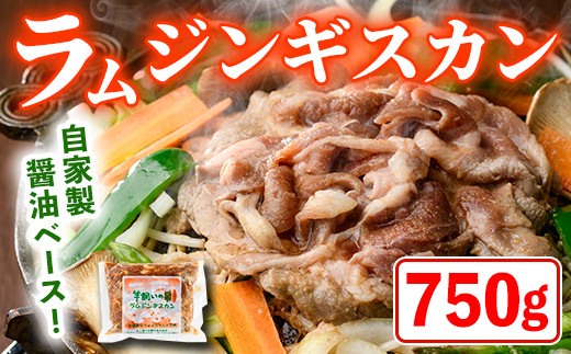 【A7027】特製 ラム ジンギスカン (750g×1袋) 羊 羊肉 ラム肉 冷凍 焼肉 ジンギスカン ラムジンギスカン 醤油ベース タレ 味付き BBQ バーベキュー 【羊と雲の丘観光】
