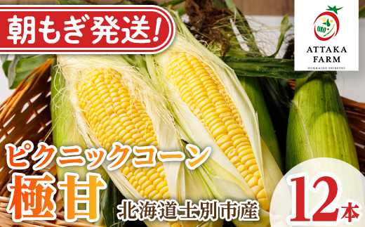 《先行予約受付中》北海道 士別市産 極甘 ピクニックコーン (12本) 【2026年8月以降順次発送】 とうもろこし トウモロコシ とうきび コーン野菜 新鮮 産地直送 甘い 北海道 北海道産 国産 旬 【あったかふぁーむ】【B7127】