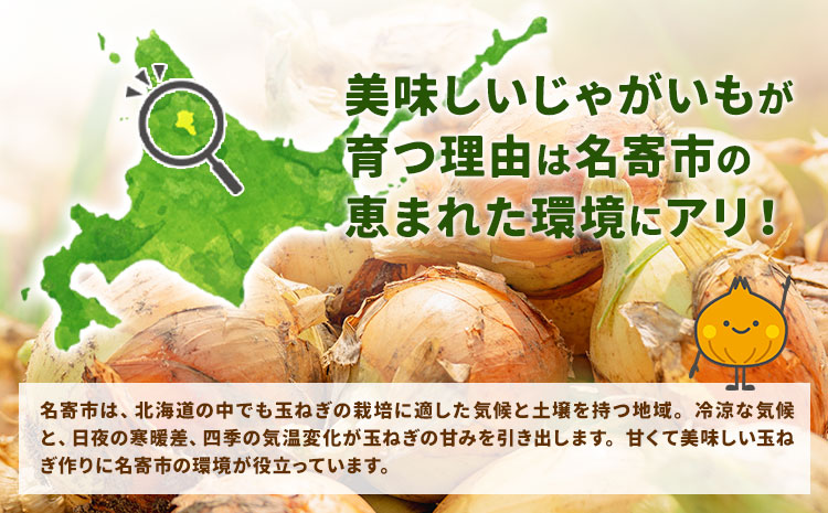 北海道名寄産 玉ねぎ 10kg 秀品 Mサイズ《2026年10月上旬～12月上旬出荷予定》北海道 名寄市 野菜 玉ねぎ 旬 カレー グラタン オニオンリング---nayoro_jdn_2_m10kg---