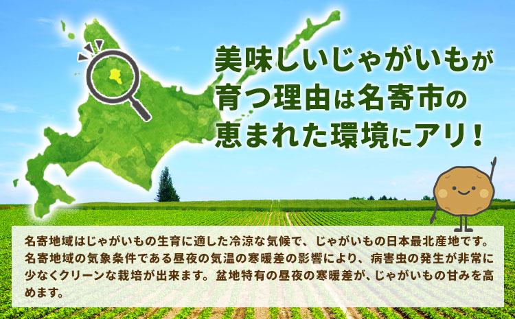 北海道名寄市産 じゃがいもと玉ねぎセット 10kg じゃがいも 5kg 秀品 玉ねぎ 5kg《2026年10月上旬～12月上旬出荷予定》北海道 名寄市 野菜 旬 カレー グラタン コロッケ じゃがバター 旬---nayoro_jdn_4_l10kg---