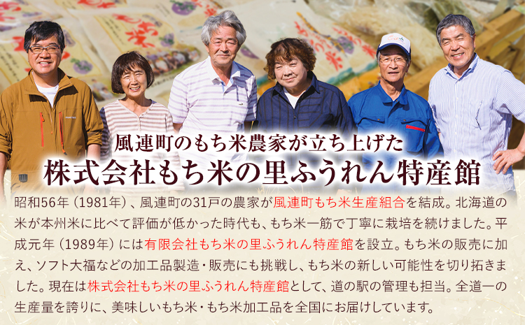 名寄プリン (ぶらじる) プレーン 6個入り 計540g 1個(90g) (株)もち米の里ふうれん特産館 《30日以内に出荷予定(土日祝除く)》 北海道 名寄市 プリン スイーツ デザート お菓子 洋菓子 おやつ お取り寄せ プレゼント ギフト 贈り物---nayoro_memt_18_6P---