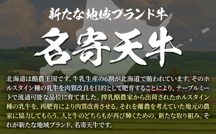 北海道 名寄市 ニチロ畜産 なよろ天牛 1頭分《ご寄附から2ヶ月前後》北海道 名寄市 牛 牛肉 ロース ヒレ バラ モモ カタ ウデ バーベキュー ステーキ 焼肉 炒め物---nayoro_mnt_2_230k---