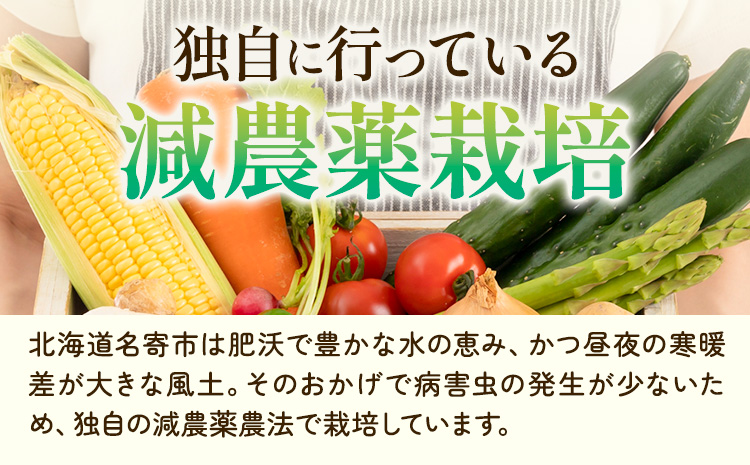 【2026年出荷】 北海道名寄産スイートコーンイエロー L〜2Lサイズ11本 《2026年8月中旬-9月中旬頃出荷予定》 NPO法人なよろ観光まちづくり協会 北海道 とうもろこし トウモロコシ  Lサイズ 2Lサイズ 取り寄せ 新鮮 産地直送 甘い 糖度 冷蔵 レビュー高評価---nayoro_nkm_46_11p---
