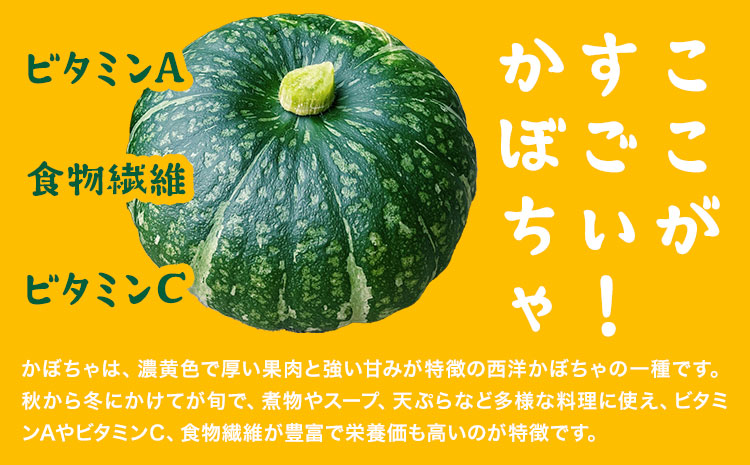 千虎 かぼちゃパイ 詰合せ 21個入り かぼちゃ《60日以内に出荷予定(土日祝除く)》北海道 名寄市 お菓子 ギフト プレゼント 贈り物 お中元 お祝い スイーツ パイ---nayoro_nkm_18_21p---