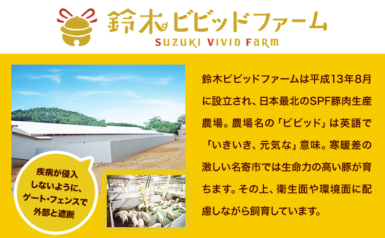 豚 ジンギスカン 500g 鈴木ビビッドファーム《30日以内に出荷予定(土日祝除く)》北海道 名寄市 豚肉 ジンギスカン 鍋 名寄 焼肉 バーベキュー お肉 肉 味付け タレ 冷凍 豚ジンギスカン---nayoro_sbbt_3_500g---
