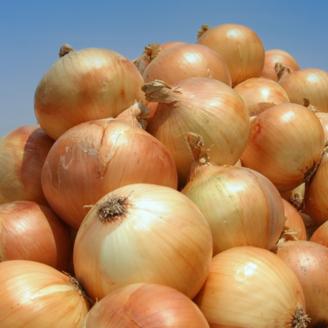 令和6年度産 北海道名寄産じゃがいも＆玉ねぎ＆かぼちゃ詰め合わせ ※2023年9月下旬～10月中旬頃に順次発送予定《2024年9月下旬～10月中旬頃出荷》---nayoro_nkm_3_1s---