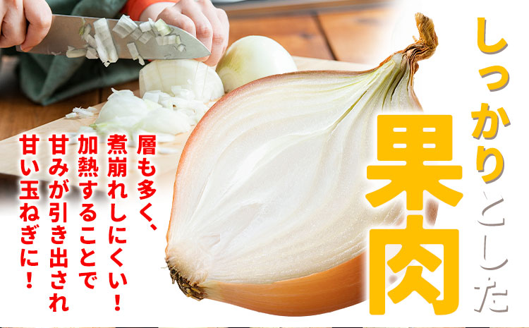 北海道名寄産 玉ねぎ 10kg 秀品 Mサイズ《2026年10月上旬～12月上旬出荷予定》北海道 名寄市 野菜 玉ねぎ 旬 カレー グラタン オニオンリング---nayoro_jdn_2_m10kg---