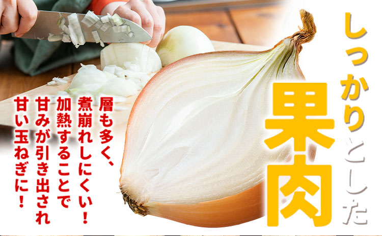 北海道名寄産 玉ねぎ 10kg 秀品  Lサイズ《2026年10月上旬～12月上旬出荷予定》北海道 名寄市 野菜 玉ねぎ 旬 カレー グラタン オニオンリング---nayoro_jdn_1_l10kg---