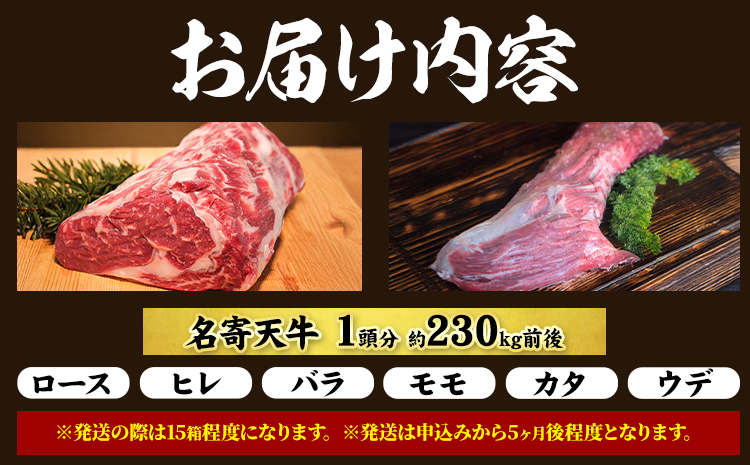 北海道 名寄市 ニチロ畜産 なよろ天牛 1頭分《ご寄附から2ヶ月前後》北海道 名寄市 牛 牛肉 ロース ヒレ バラ モモ カタ ウデ バーベキュー ステーキ 焼肉 炒め物---nayoro_mnt_2_230k---