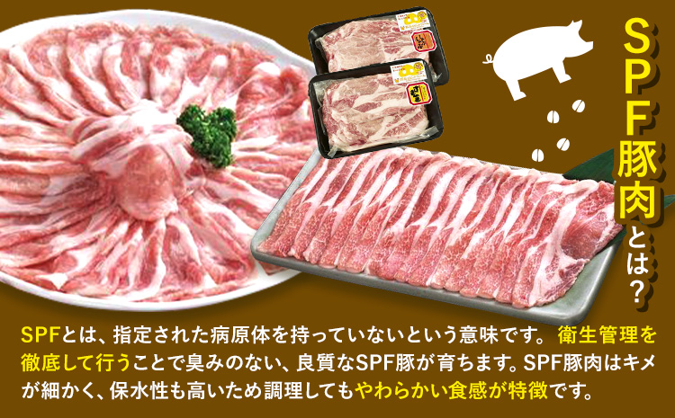 北海道名寄市 鈴木ビビットファームSPF豚肉セット1kg《30日以内に出荷予定(土日祝除く)》---nayoro_tmr_1_1k---