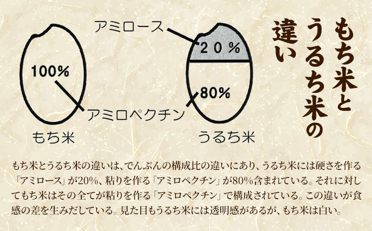 ふうれん特産館もち米2kg×２袋セット※離島へのお届け不可※着日指定送不可《30日以内に出荷予定(土日祝除く)》---nayoro_memt_8_2p---