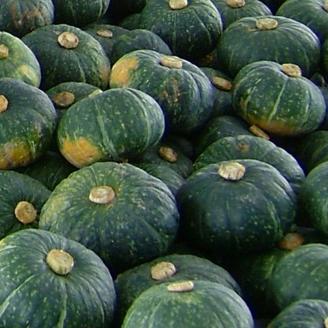 令和6年度産 北海道名寄産じゃがいも＆玉ねぎ＆かぼちゃ詰め合わせ ※2023年9月下旬～10月中旬頃に順次発送予定《2024年9月下旬～10月中旬頃出荷》---nayoro_nkm_3_1s---