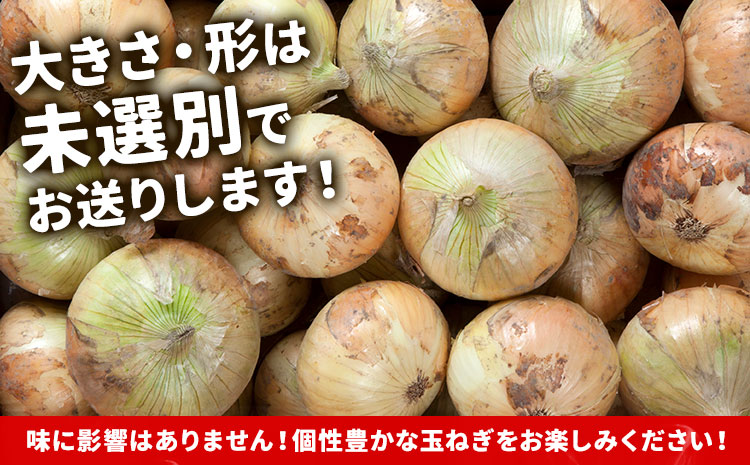 北海道名寄産 玉ねぎ 10kg 秀品  Lサイズ《2026年10月上旬～12月上旬出荷予定》北海道 名寄市 野菜 玉ねぎ 旬 カレー グラタン オニオンリング---nayoro_jdn_1_l10kg---