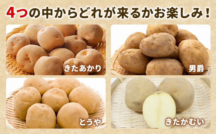 北海道名寄産 じゃがいも 10kg 秀品 Lサイズ《2026年10月上旬～12月上旬出荷予定》北海道 名寄市 野菜 馬鈴薯 旬 カレー グラタン コロッケ じゃがバター---nayoro_jdn_3_l10kg---