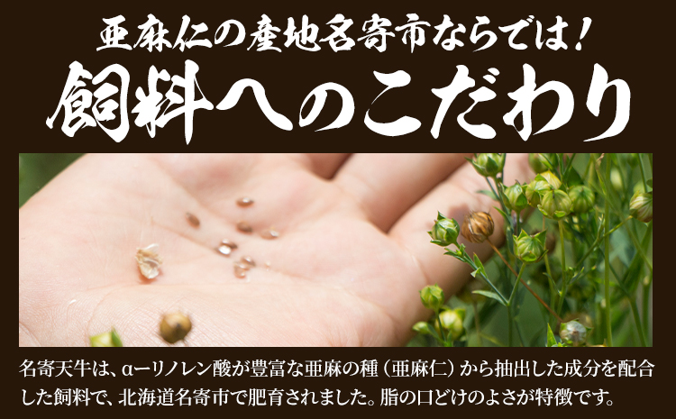 北海道 名寄市 ニチロ畜産 なよろ天牛 1頭分《ご寄附から2ヶ月前後》北海道 名寄市 牛 牛肉 ロース ヒレ バラ モモ カタ ウデ バーベキュー ステーキ 焼肉 炒め物---nayoro_mnt_2_230k---