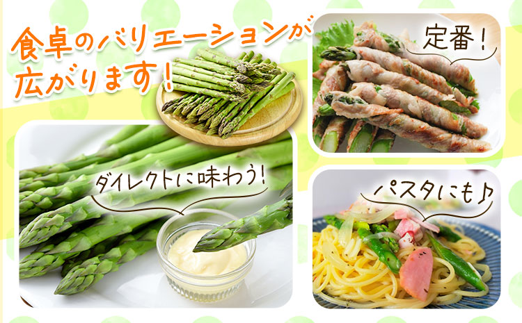 【2026年出荷】アスパラ グリーンアスパラ アスパラガス 約 1kg 2Lサイズ (約30本) なよろ観光まちづくり協会《2026年5月中旬-6月中旬頃出荷予定》北海道 名寄市 送料無料 春 野菜 取り寄せ 朝採り 新鮮 産地直送---nayoro_nkm_51_1k---