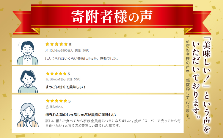 北海道名寄産 星空雪見法蓮草《2026年1月中旬頃出荷予定》名寄産 星空雪見 法蓮草 星空 雪見 法蓮草 ほうれん草 北海道 名寄市 野菜 ホウレンソウ 野菜ソムリエ やさい