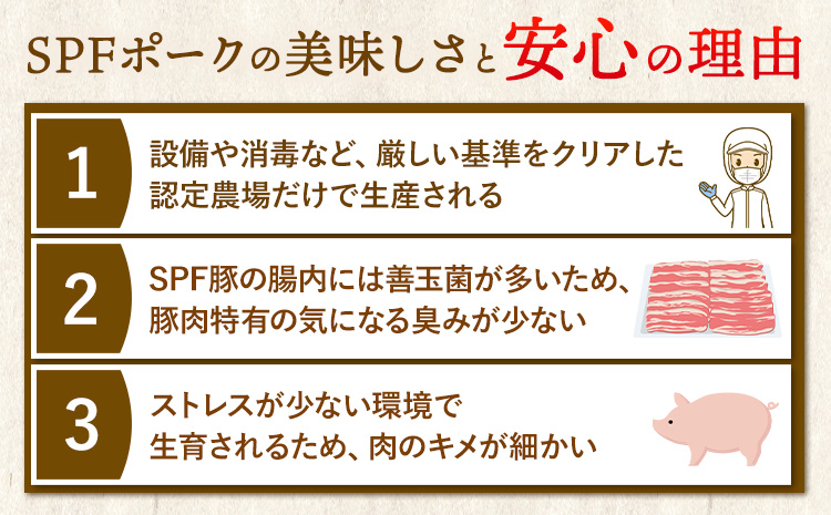 北海道名寄市 鈴木ビビットファームSPF豚肉セット1kg《30日以内に出荷予定(土日祝除く)》---nayoro_tmr_1_1k---