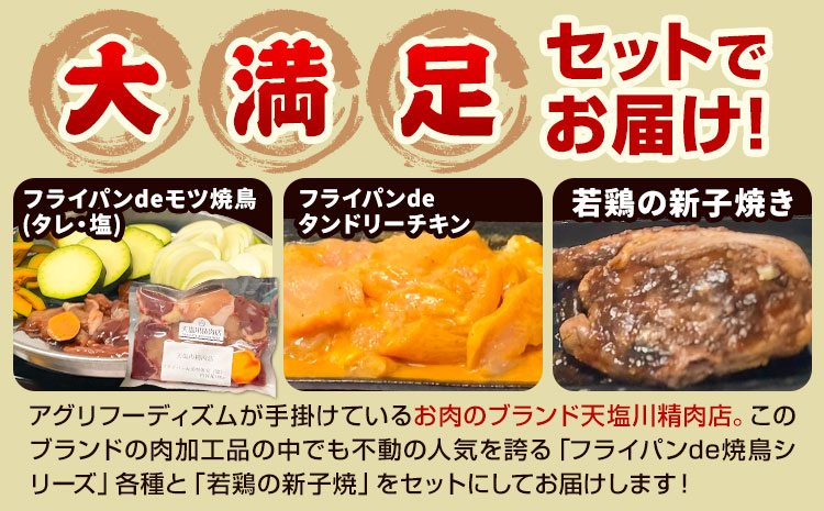 肉 鶏肉 天塩川精肉店セット フライパンde焼鳥 モツタレ 160g×1 モツ塩 160g×1 タンドリーチキン 160g×1 若鶏の新子焼 500g×1 アグリフーディズム 《30日以内に出荷予定(土日祝除く)》北海道 名寄市 詰め合わせ 冷凍【配送不可地域あり】(離島)---nayoro_ftn_2_1s---
