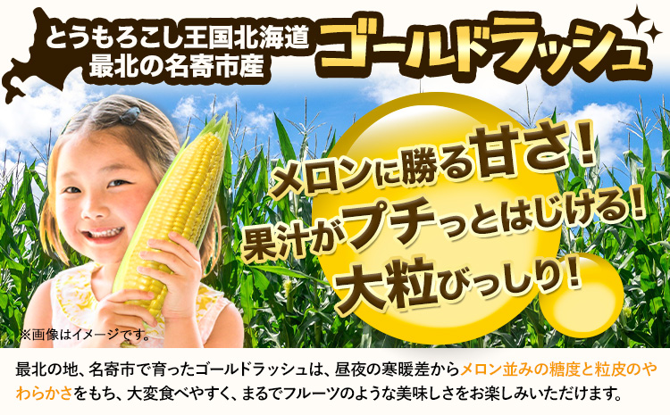 特大】 とうもろこし 極甘 スイートコーン 「 ゴールドラッシュ 」 5kg 以上 11～13本 特大 サイズ 来年分先行予約 受付中  【2025年8月上旬-9月中旬頃出荷】 特大 北海道 北海道 朝採れ 真空予冷 冷蔵 高糖度 夏野菜 朝採れ 真空予冷 冷蔵 高糖度 夏野菜 セット  今が旬 ...