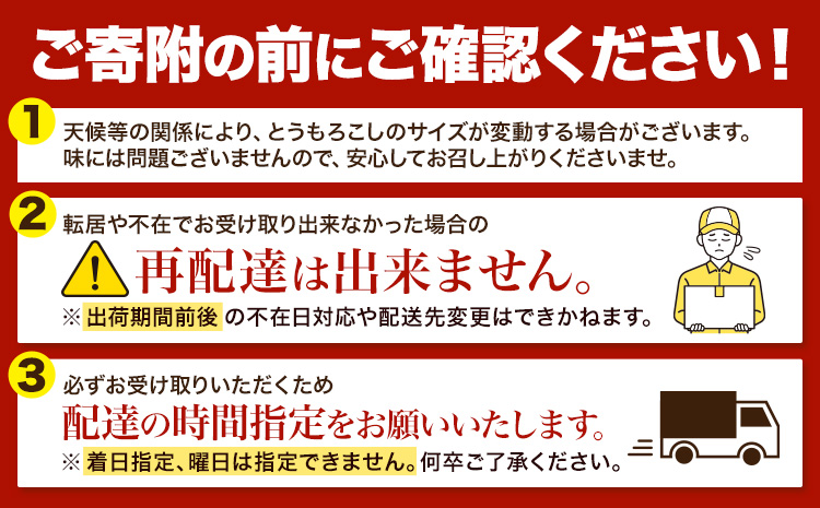 令和7年産 北海道名寄産 とうもろこし ホワイトコーン 「 なよろホワイト 」 5kg 以上 11～13本 特大 サイズ北海道 朝採り 真空予冷 冷蔵 高糖度 ピュアホワイト トウモロコシ ギフト お中元 コーン【先行予約 受付中】 《2026年8月上旬-9月中旬頃出荷》野菜  とうもろこし ホワイトコーン 「 なよろホワイト 」 5kg 以上 11～13本 ---nayoro_loc_25_5k---