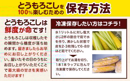 【2026年出荷】北海道 名寄産 スイートコーン イエロー L～2Lサイズ 22本 《2026年8月中旬-9月中旬頃出荷予定》 NPO法人なよろ観光まちづくり協会 北海道 とうもろこし トウモロコシ Lサイズ 2Lサイズ 取り寄せ 新鮮 産地直送 甘い 糖度 冷蔵---nayoro_nkm_47_22p---