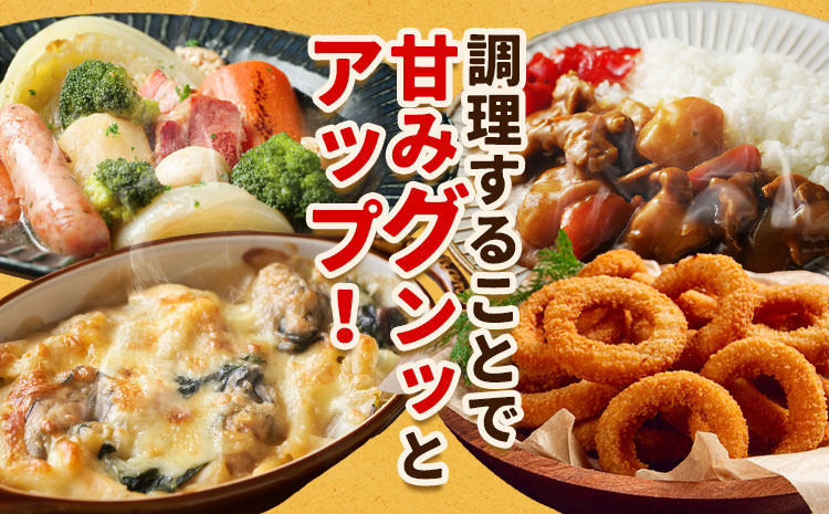 北海道名寄産 玉ねぎ 10kg 秀品 Mサイズ《2026年10月上旬～12月上旬出荷予定》北海道 名寄市 野菜 玉ねぎ 旬 カレー グラタン オニオンリング---nayoro_jdn_2_m10kg---