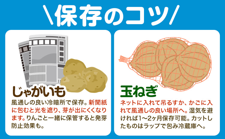 北海道名寄市産 じゃがいもと玉ねぎセット 10kg じゃがいも 5kg 秀品 玉ねぎ 5kg《2026年10月上旬～12月上旬出荷予定》北海道 名寄市 野菜 旬 カレー グラタン コロッケ じゃがバター 旬---nayoro_jdn_4_l10kg---