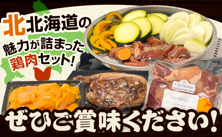 肉 鶏肉 天塩川精肉店セット フライパンde焼鳥 モツタレ 160g×1 モツ塩 160g×1 タンドリーチキン 160g×1 若鶏の新子焼 500g×1 アグリフーディズム 《30日以内に出荷予定(土日祝除く)》北海道 名寄市 詰め合わせ 冷凍【配送不可地域あり】(離島)---nayoro_ftn_2_1s---