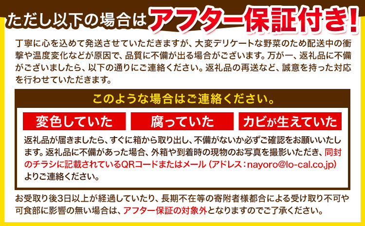 【先行予約】朝採りアスパラガス 2Lサイズ(800g) 《2026年5月中旬-5月下旬頃出荷予定》北海道 名寄市 送料無料 朝採り 新鮮 アスパラ---nayoro_loc_20_800g---st-p