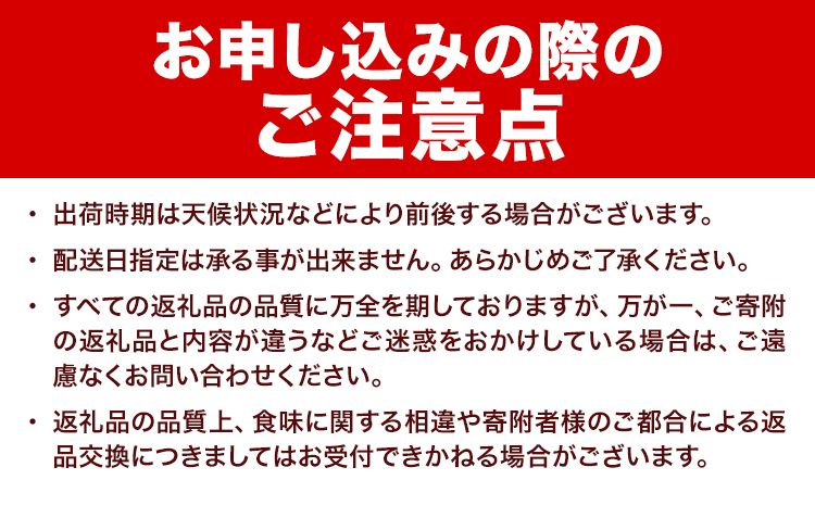【2026年出荷】北海道名寄産ホワイトコーン＆スイートコーンイエロー食べ比べセット L～2Lサイズ各10本計20本《2026年8月中旬-9月中旬頃出荷予定》NPO法人なよろ観光まちづくり協会 とうもろこし 食べ比べ 旬 新鮮 産地直送 糖度 冷蔵 レビュー高評価---nayoro_nkm_49_20p---