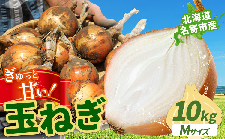 北海道名寄産 玉ねぎ 10kg 秀品 Mサイズ《2026年10月上旬～12月上旬出荷予定》北海道 名寄市 野菜 玉ねぎ 旬 カレー グラタン オニオンリング---nayoro_jdn_2_m10kg---