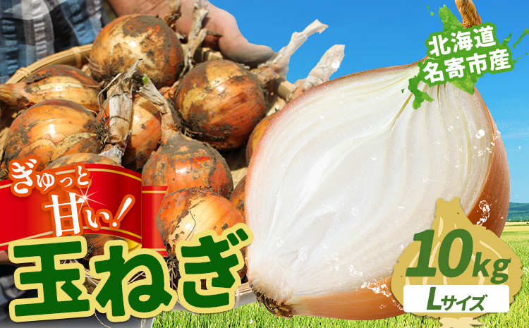 北海道名寄産 玉ねぎ 10kg 秀品  Lサイズ《2026年10月上旬～12月上旬出荷予定》北海道 名寄市 野菜 玉ねぎ 旬 カレー グラタン オニオンリング---nayoro_jdn_1_l10kg---