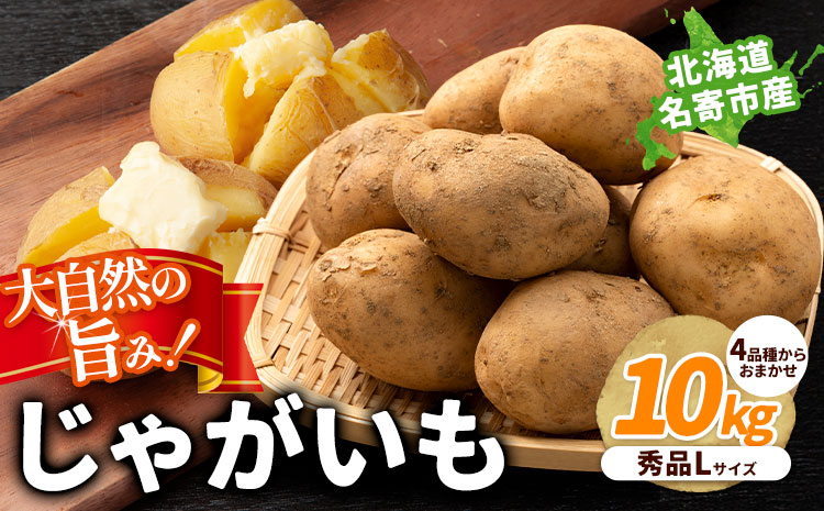 北海道名寄産 じゃがいも 10kg 秀品 Lサイズ《2026年10月上旬～12月上旬出荷予定》北海道 名寄市 野菜 馬鈴薯 旬 カレー グラタン コロッケ じゃがバター---nayoro_jdn_3_l10kg---