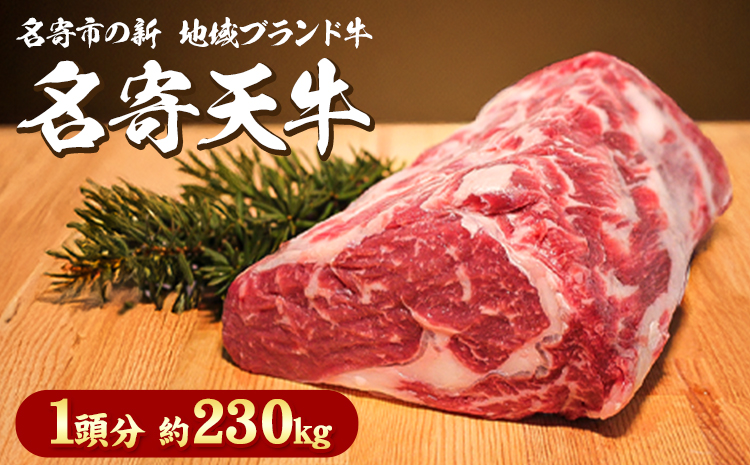 北海道 名寄市 ニチロ畜産 なよろ天牛 1頭分《ご寄附から2ヶ月前後》北海道 名寄市 牛 牛肉 ロース ヒレ バラ モモ カタ ウデ バーベキュー ステーキ 焼肉 炒め物---nayoro_mnt_2_230k---