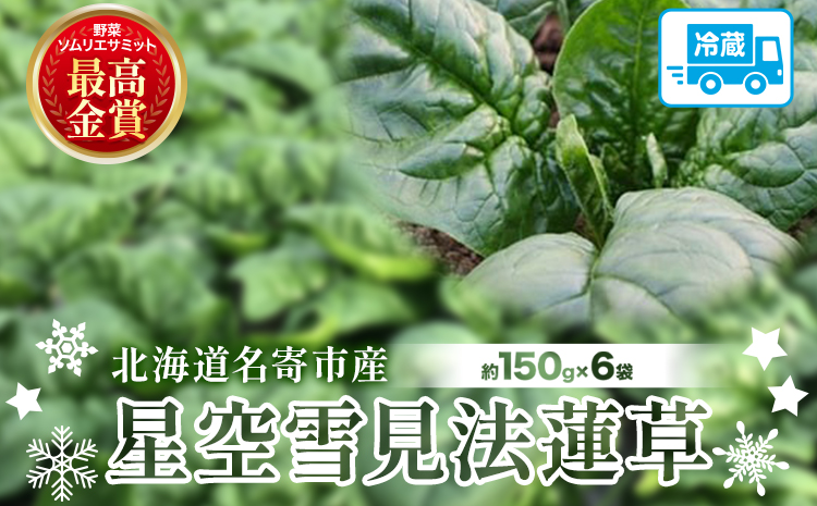北海道名寄産 星空雪見法蓮草《2026年1月中旬頃出荷予定》名寄産 星空雪見 法蓮草 星空 雪見 法蓮草 ほうれん草 北海道 名寄市 野菜 ホウレンソウ 野菜ソムリエ やさい