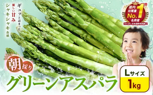 【先行予約】朝採りアスパラガス Lサイズ(1kg) 《2026年5月中旬-5月下旬頃出荷予定》北海道 名寄市 送料無料 朝採り 新鮮 アスパラ---nayoro_loc_22_1kg---st-p
