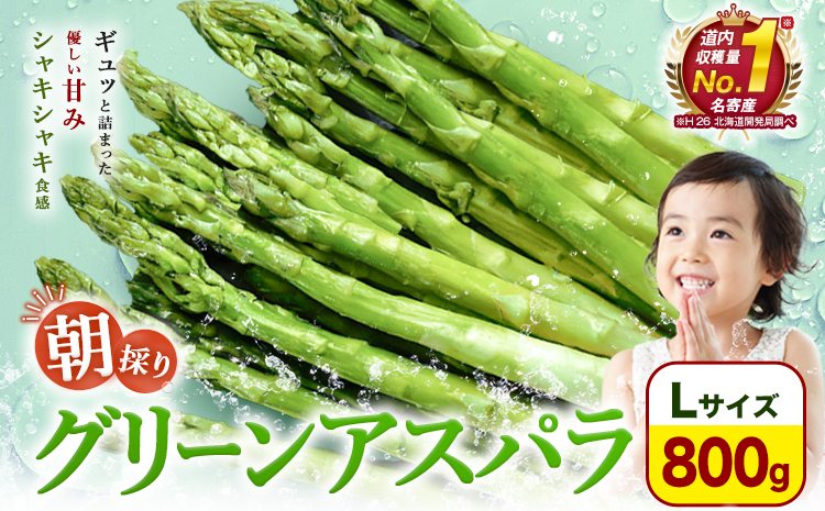 [先行予約]朝採りアスパラガス Lサイズ(800g) [2026年5月中旬-5月下旬頃出荷予定]北海道 名寄市 送料無料 朝採り 新鮮 アスパラ---nayoro_loc_21_800g---