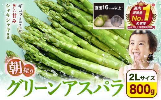 [先行予約]朝採りアスパラガス 2Lサイズ(800g) [2026年5月中旬-5月下旬頃出荷予定]北海道 名寄市 送料無料 朝採り 新鮮 アスパラ---nayoro_loc_20_800g---st-p