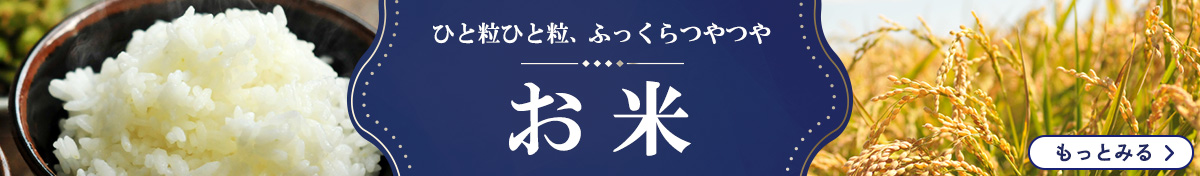 自治体ページ表示用1