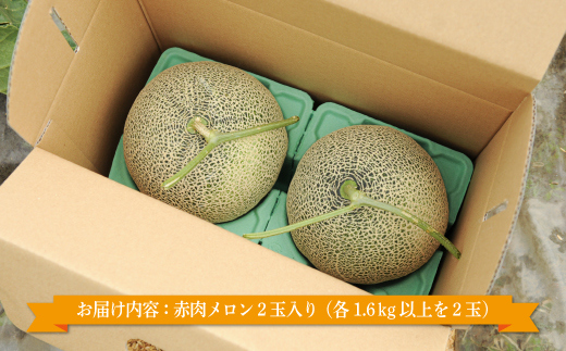 《2026年分受付中》≪数量限定！≫のみやまファームの赤肉メロン「美暁」（各1.6kg以上を2玉）【01167】