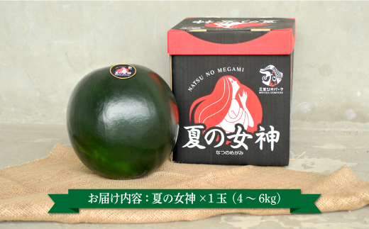 《2026年分受付中》『夏の女神』種が少なくて甘い黒皮スイカ1玉入（中玉4～6kg）【01005】