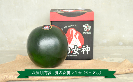 《2026年分受付中》『夏の女神』大玉！種が少なくて甘い黒皮スイカ1玉入（6～8kg）【01061】