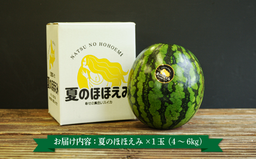 《2026年分受付中》黄色いスイカ夏のほほえみ1玉(4～6kg)【01146】
