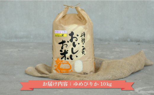 令和7年産 三笠産のおいしい米 ゆめぴりか(10kg)《令和７年10月頃より発送予定》【2700101】