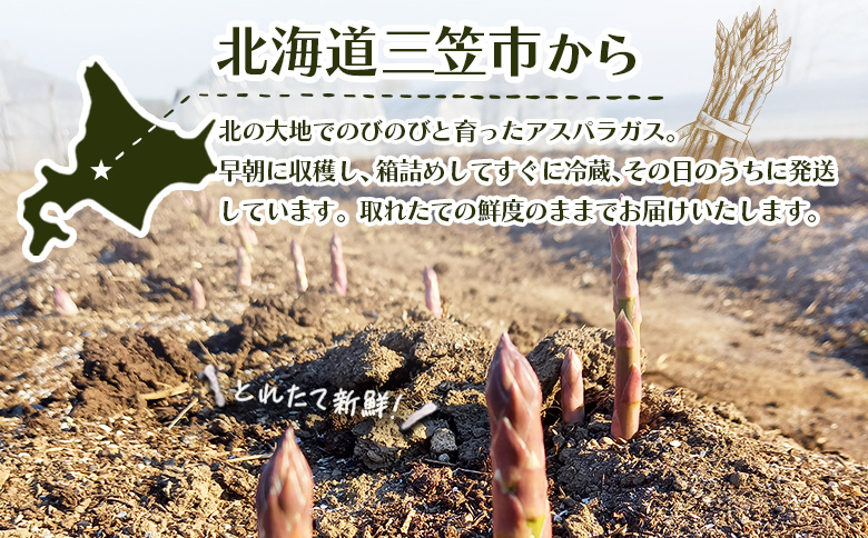 【先行受付】のみやまファームのグリーンアスパラガス（Ｍ～２L以上）1kg【05004】
